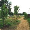 This is how the same area of the Knoxville Public School in Nepean Ontario appeared 'after' the completion of the Peace Garden in 1993.