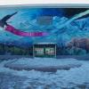 This spectacular mural is now painted on the wall adjacent to the original School Peace Garden site in downtown Whitehorse.  (Photo 2001)
