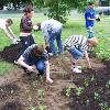 Involve as many students as possible in the construction phase.