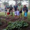 Pre-school children and their mothers maintaining the sweet potato garden at  Kamaile Elementary, Honolulu.