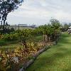 Studying the planting of native crops at the Kanu O Ka 'Aina school on the Big Island.
