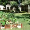 Kalo Patch boxes at the entrance to the Lunalilo Peace Garden.  Note the Peace crafts hanging in the tree to the right.