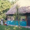 In November 1997 a palapa was opened in the Alfredo Borano's Botanical Gardens dedicated to to International School Peace Gardens/Los Parques Escolares Por La Paz project.
